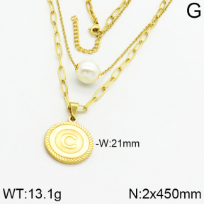 SS Necklace  2N3000063vbpb-312