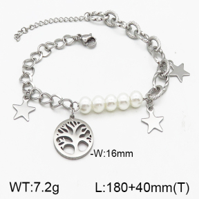 SS Bracelet  5B3000239bvpl-610