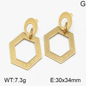 SS Earrings  5E2000312avja-450