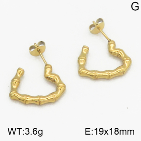 SS Earrings  5E2000404ahjb-656