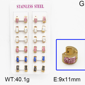 SS Earrings  5E4000398ajjm-450