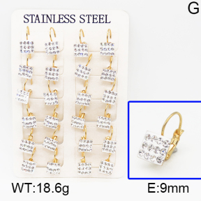 SS Earrings  5E4000423vhov-680