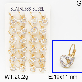 SS Earrings  5E4000424vhov-680