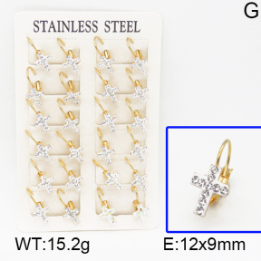 SS Earrings  5E4000432vhov-680