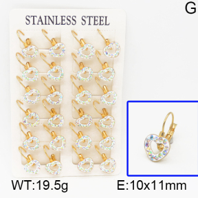 SS Earrings  5E4000440vhov-680