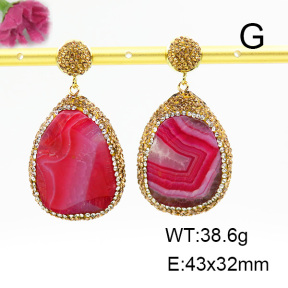 Agate  Fashion Earrings  F6E403286ajlv-L005