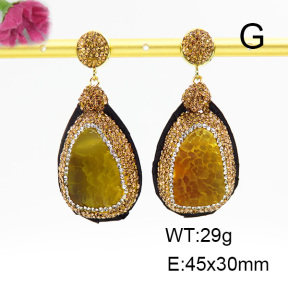 Agate  Fashion Earrings  F6E403287ajlv-L005