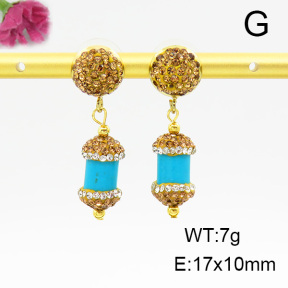 Turquoise  Fashion Earrings  F6E403302vhov-L005