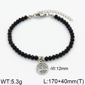 SS Bracelet  2B4000151vbnl-706