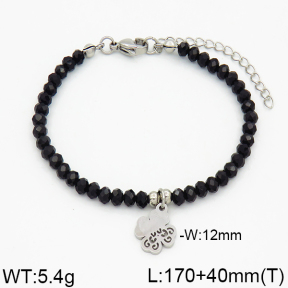 SS Bracelet  2B4000155vbnl-706