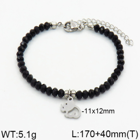 SS Bracelet  2B4000163vbnl-706