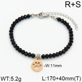 SS Bracelet  2B4000179bbov-706