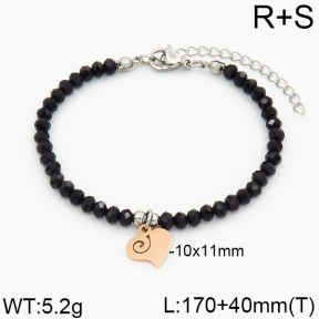 SS Bracelet  2B4000187bbov-706