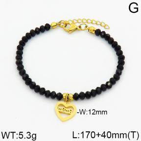 SS Bracelet  2B4000196bbov-706