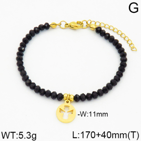 SS Bracelet  2B4000208bbov-706