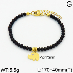 SS Bracelet  2B4000209bbov-706