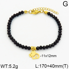 SS Bracelet  2B4000221bbov-706