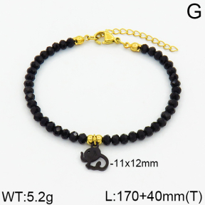 SS Bracelet  2B4000231bbov-706