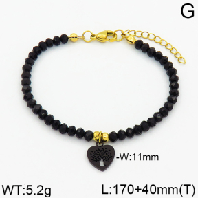 SS Bracelet  2B4000235bbov-706