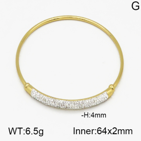 SS Bangle  5BA400071bhia-212