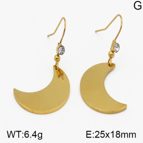 SS Earrings  5E2000410vbnb-628