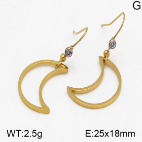SS Earrings  5E2000411vbnb-628