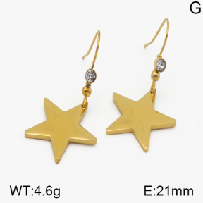 SS Earrings  5E2000412vbnb-628