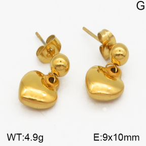 SS Earrings  5E2000416vbmb-628