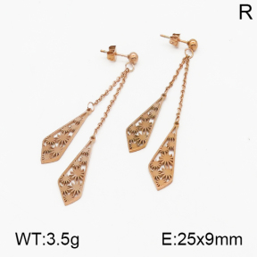 SS Earrings  5E2000420bhva-212