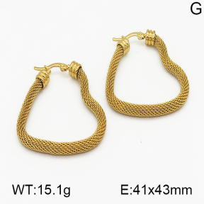 SS Earrings  5E2000421ablb-212