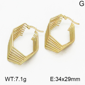 SS Earrings  5E2000422ablb-212