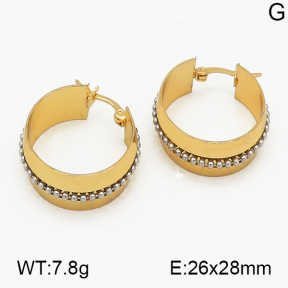 SS Earrings  5E2000424baka-212
