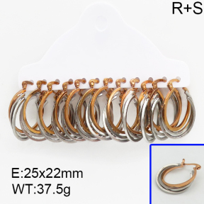 SS Earrings  5E2000428vina-212