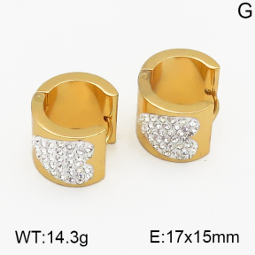 SS Earrings  5E4000447vbmb-212
