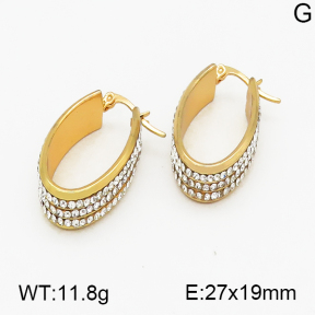 SS Earrings  5E4000450bbov-212