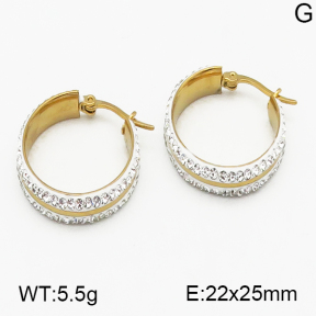 SS Earrings  5E4000451vbnb-212