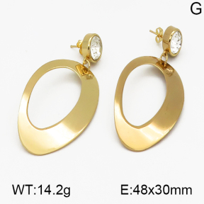 SS Earrings  5E4000453ablb-212
