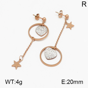 SS Earrings  5E4000455bhva-212