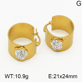 SS Earrings  5E4000460vbmb-212