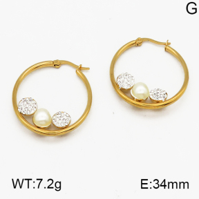 SS Earrings  5E4000469vbmb-212