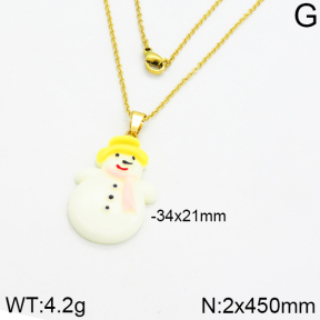 SS Necklace  2N3000112aajl-704