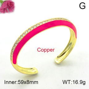 Fashion Copper Bangle  F7BA40032vhmv-L017