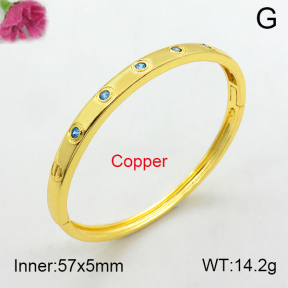 Fashion Copper Bangle  F7BA40049ahlv-L017