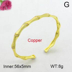 Fashion Copper Bangle  F7BA40050ahjb-L017