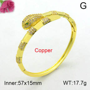 Fashion Copper Bangle  F7BA40054ahlv-L017