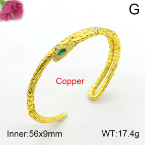 Fashion Copper Bangle  F7BA40061ahlv-L017