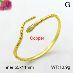 Fashion Copper Bangle  F7BA40070ahjb-L017