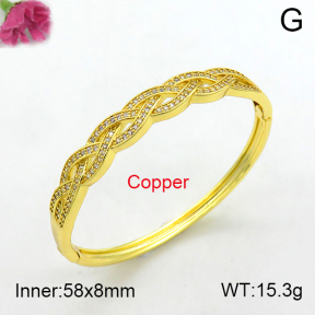 Fashion Copper Bangle  F7BA40081ahlv-L017