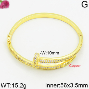 Fashion Bangles  TZ2000015bika-J111