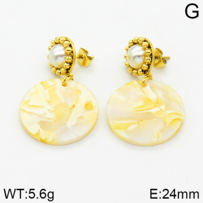 SS Earrings  2E3000142bhia-628